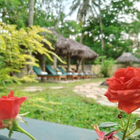 Marari Beach Bungalow Resort Alleppey 马拉利库兰 外观 照片