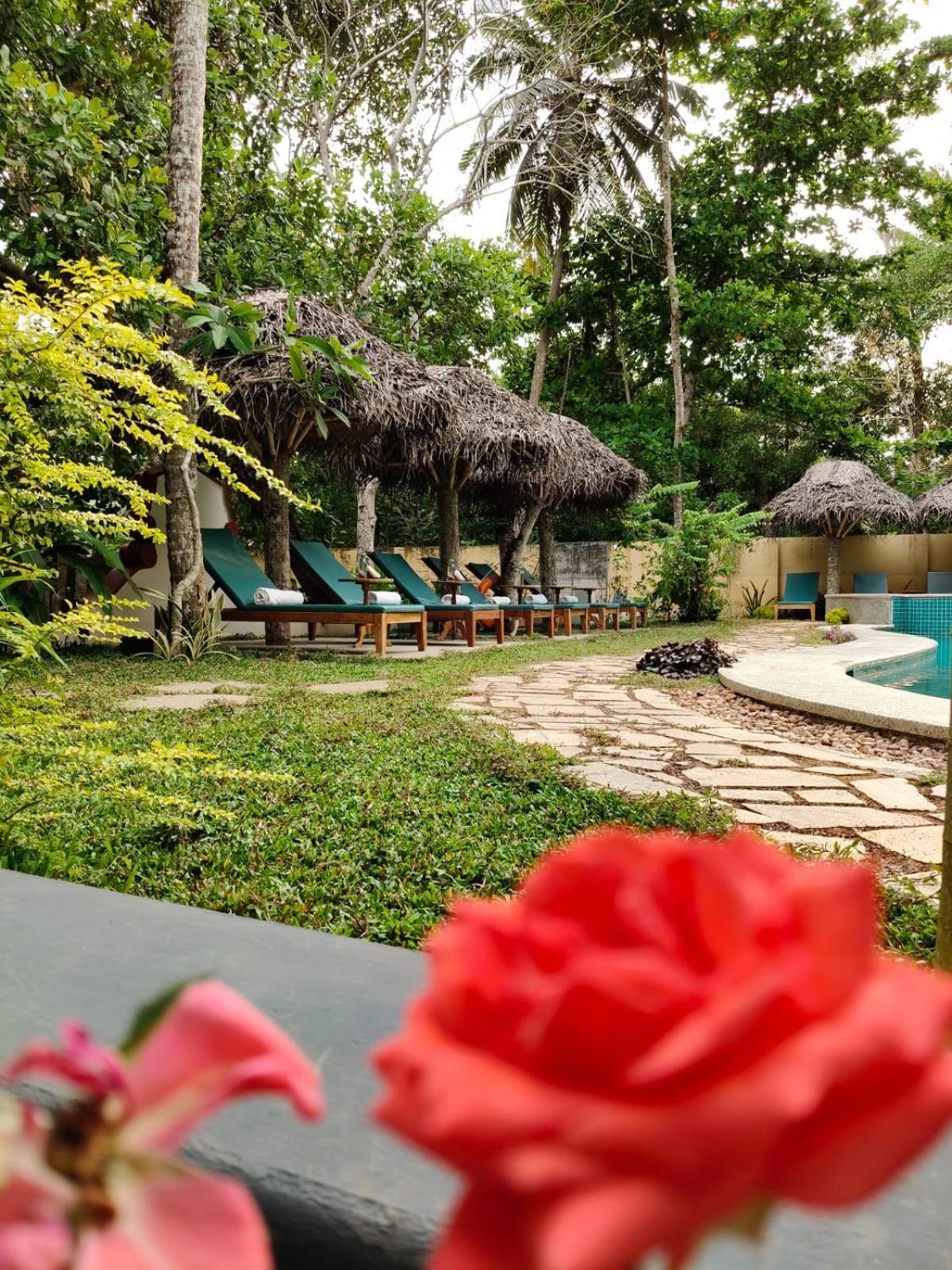 Marari Beach Bungalow Resort Alleppey 马拉利库兰 外观 照片